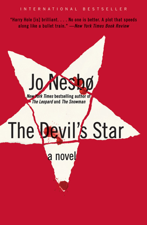 Cover image for book The Devil's Star