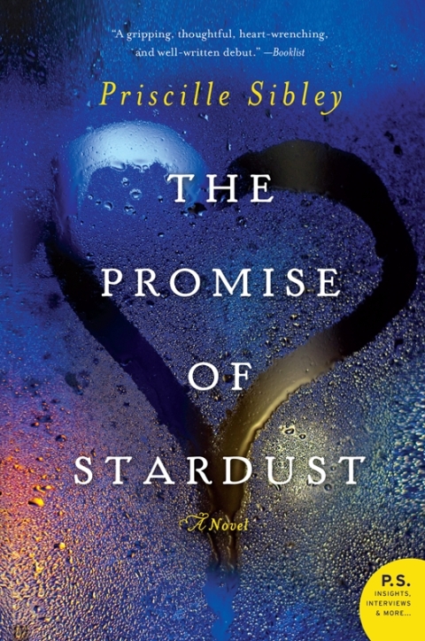 Cover image for book The Promise of Stardust