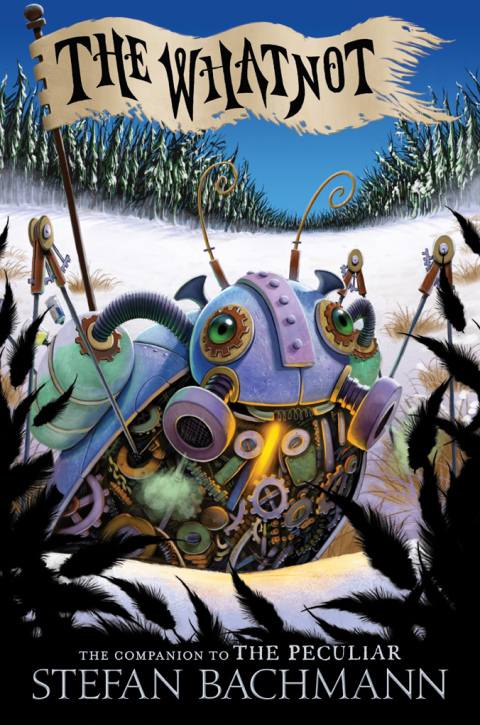 Cover image for book The Whatnot