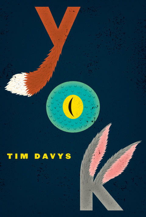 Cover image for book Yok