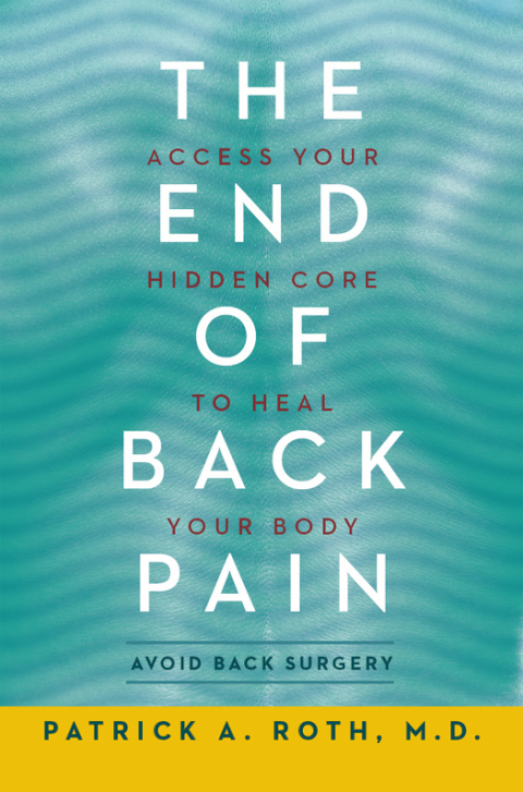 Cover image for book The End of Back Pain
