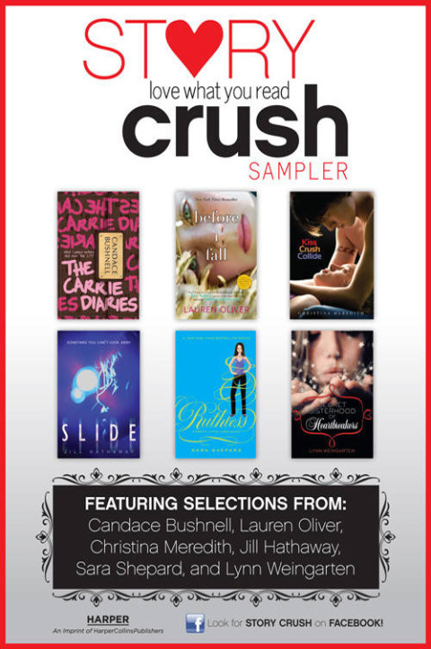 Cover image for book Story Crush Teen Sampler