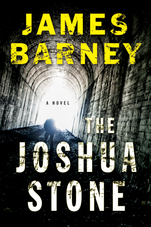 Cover image for book The Joshua Stone