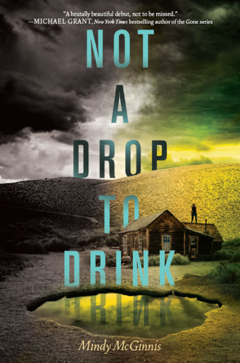 Cover image for book Not a Drop to Drink