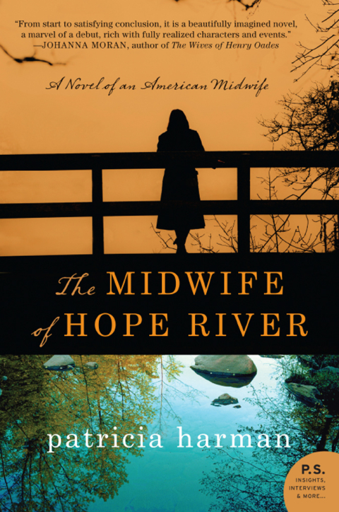 Cover image for book The Midwife of Hope River