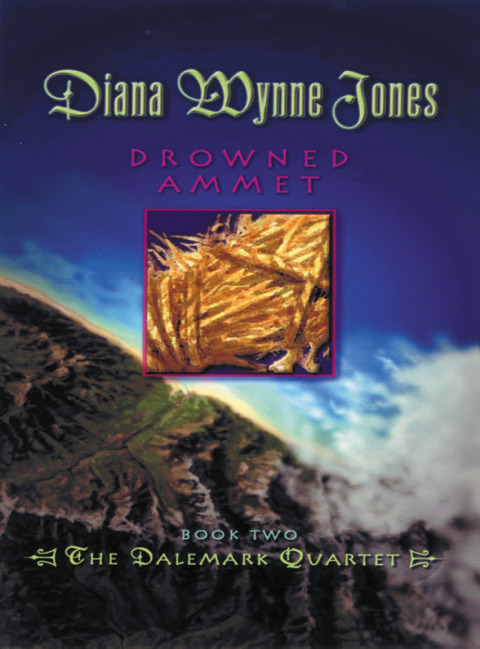 Cover image for book Drowned Ammet