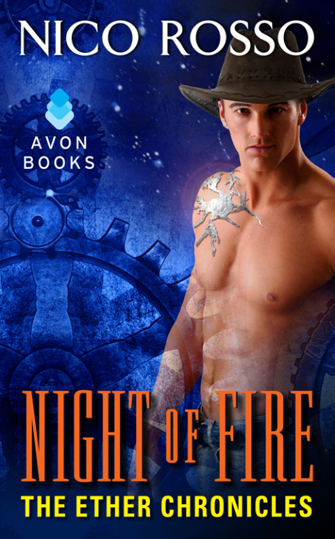 Cover image for book Night of Fire
