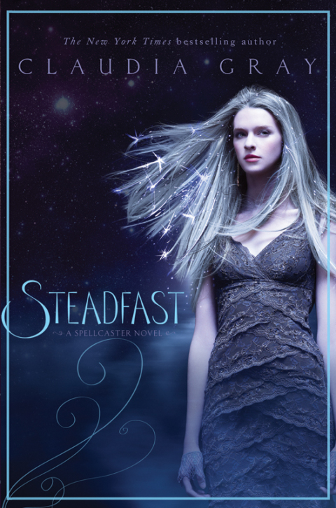 Cover image for book Steadfast