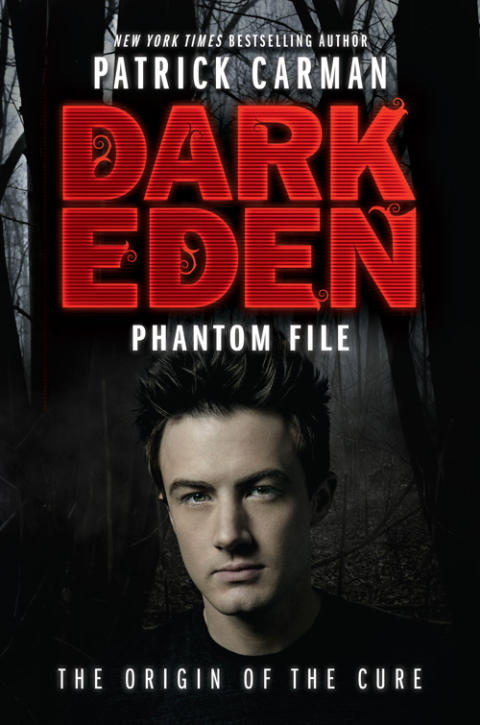 Cover image for book Phantom File