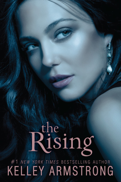 Cover image for book The Rising