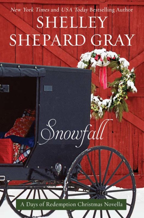 Cover image for book Snowfall
