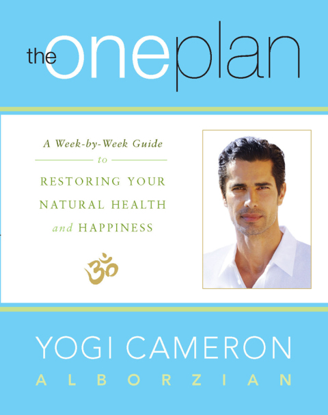 Cover image for book The One Plan