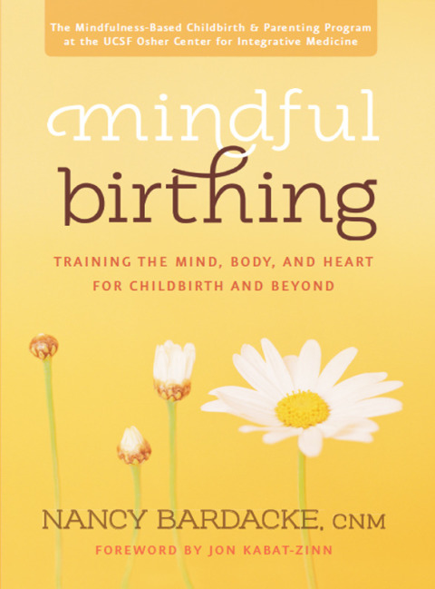 Cover image for book Mindful Birthing