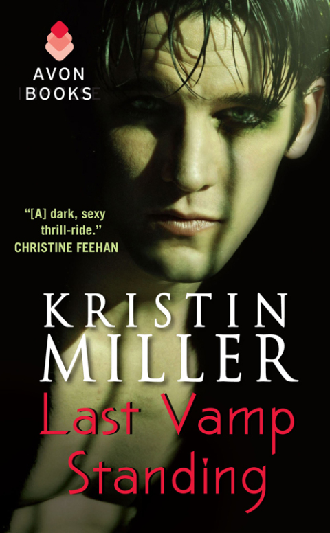 Cover image for book Last Vamp Standing