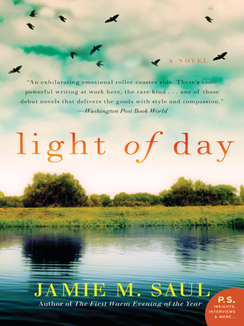 Cover image for book Light of Day