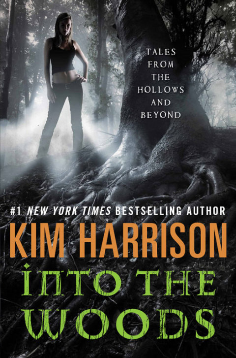 Cover image for book Into the Woods
