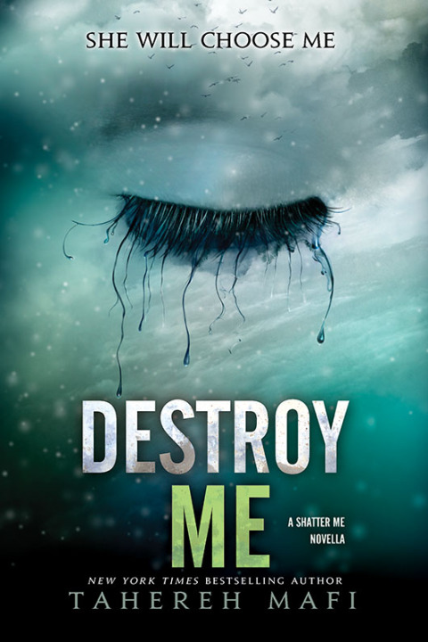 Cover image for book Destroy Me