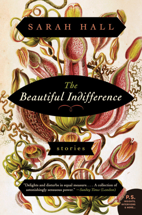 Cover image for book The Beautiful Indifference