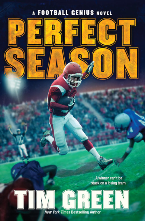 Cover image for book Perfect Season