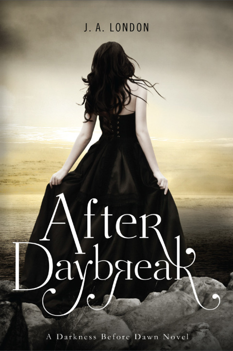 Cover image for book After Daybreak
