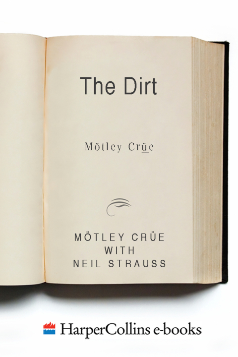 Cover image for book The Dirt