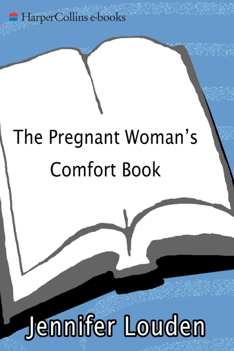 Cover image for book The Pregnant Woman's Comfort Book