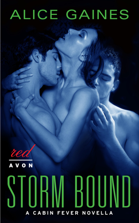 Cover image for book Storm Bound