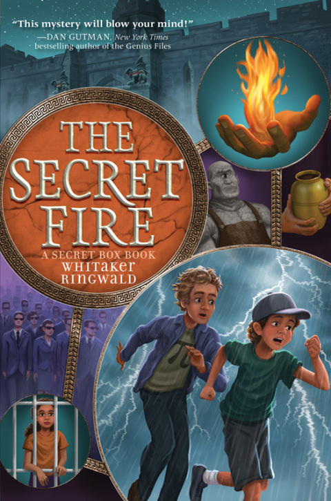 Cover image for book The Secret Fire