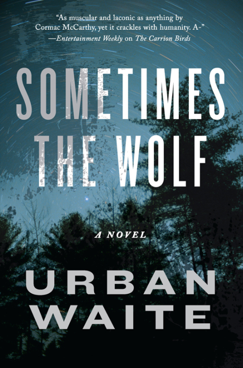 Cover image for book Sometimes the Wolf
