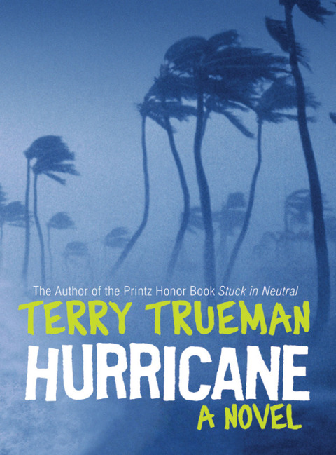 Cover image for book Hurricane