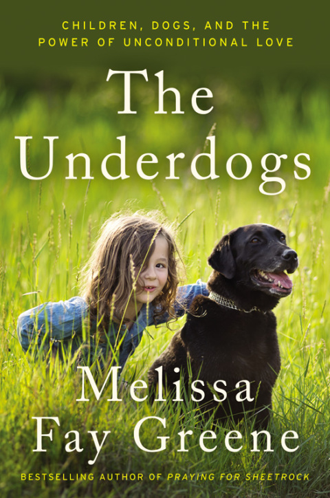Cover image for book The Underdogs