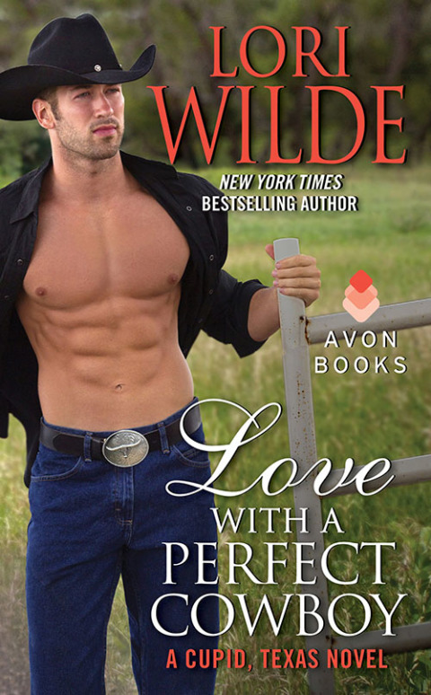 Cover image for book Love With a Perfect Cowboy