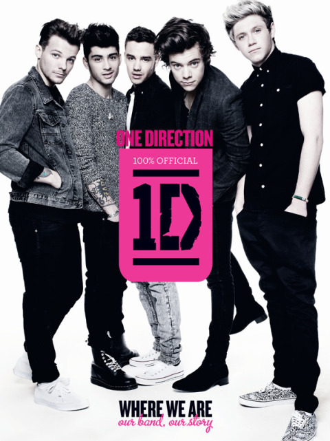 Cover image for book One Direction: Where We Are
