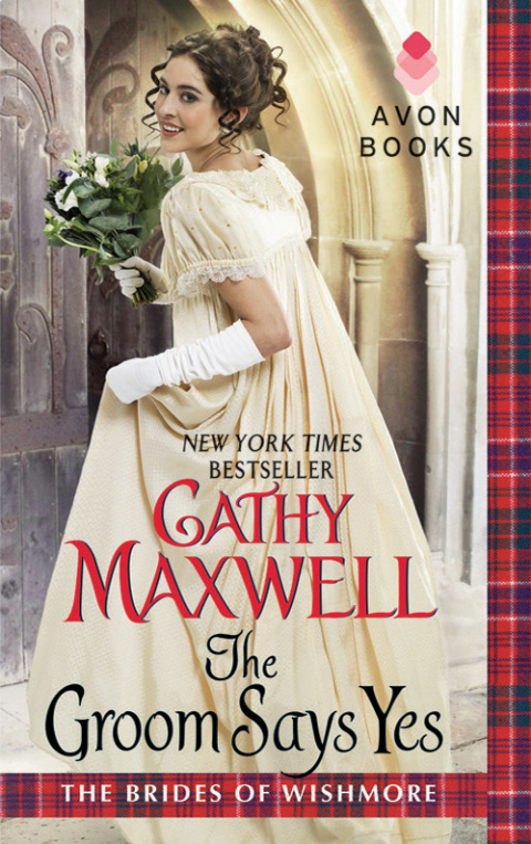 Cover image for book The Groom Says Yes
