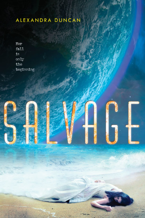 Cover image for book Salvage