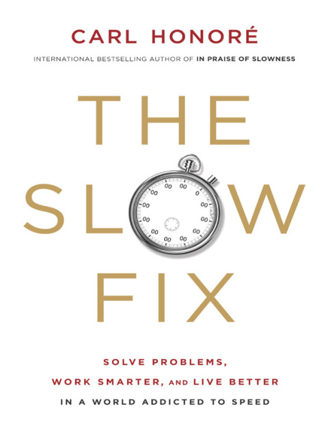 Cover image for book The Slow Fix
