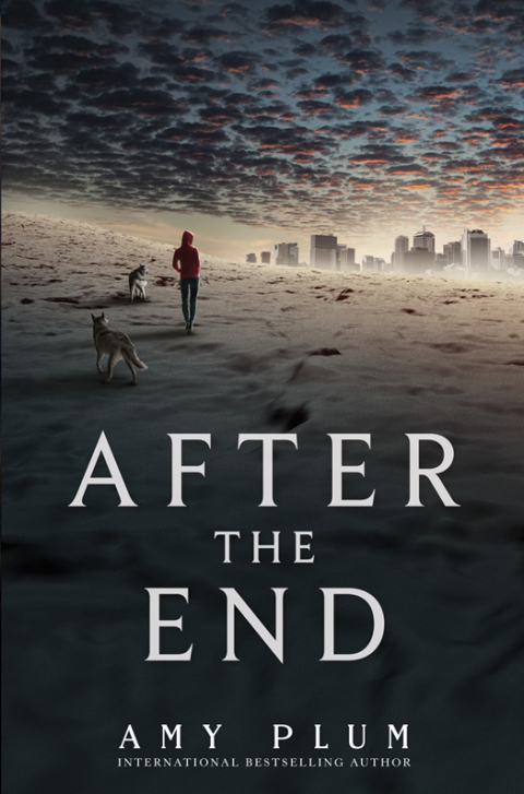 Cover image for book After the End