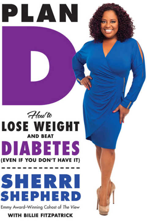 Cover image for book Plan D