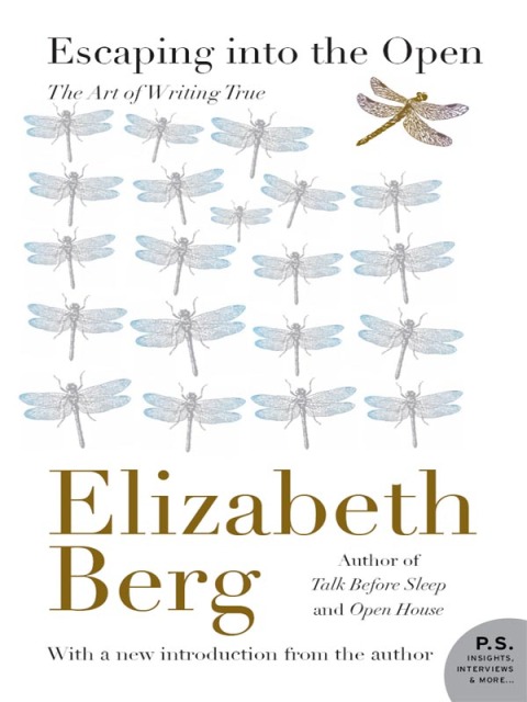Cover image for book Escaping Into the Open
