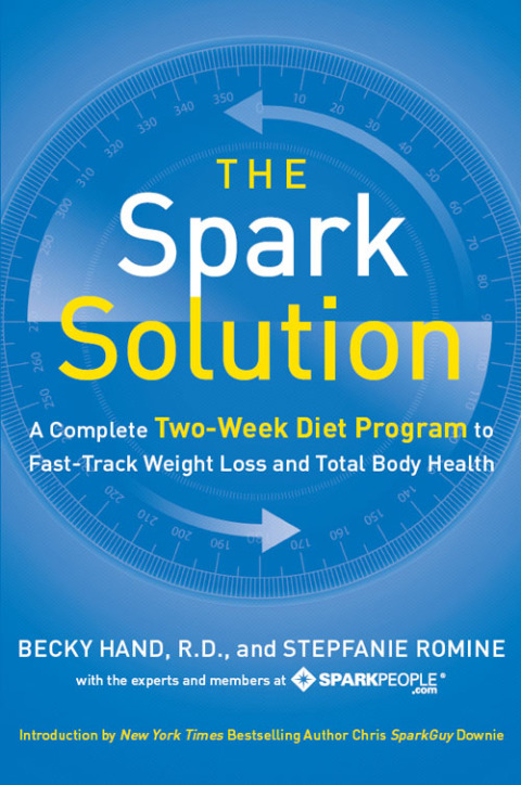 Cover image for book The Spark Solution