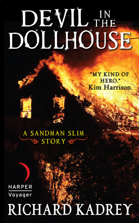 Cover image for book Devil in the Dollhouse