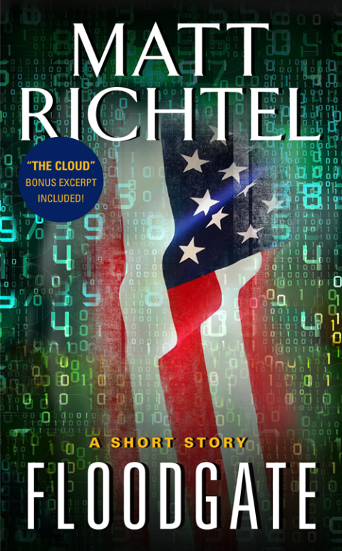 Cover image for book Floodgate
