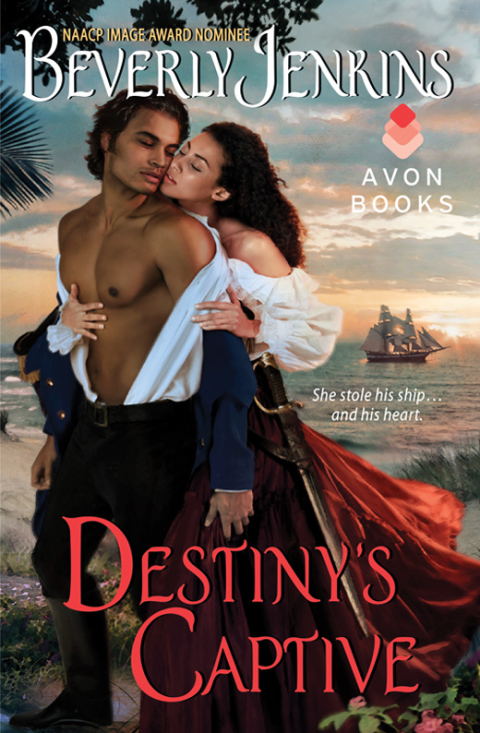 Cover image for book Destiny's Captive