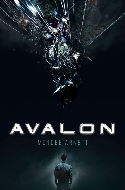 Cover image for book Avalon