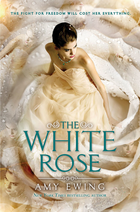 Cover image for book The White Rose