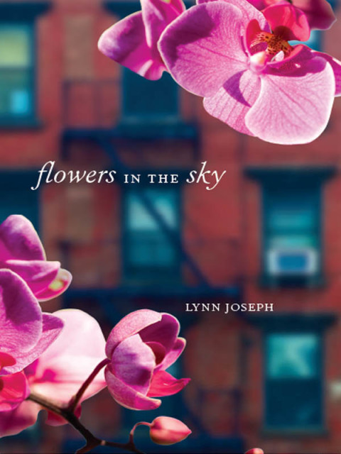 Cover image for book Flowers in the Sky