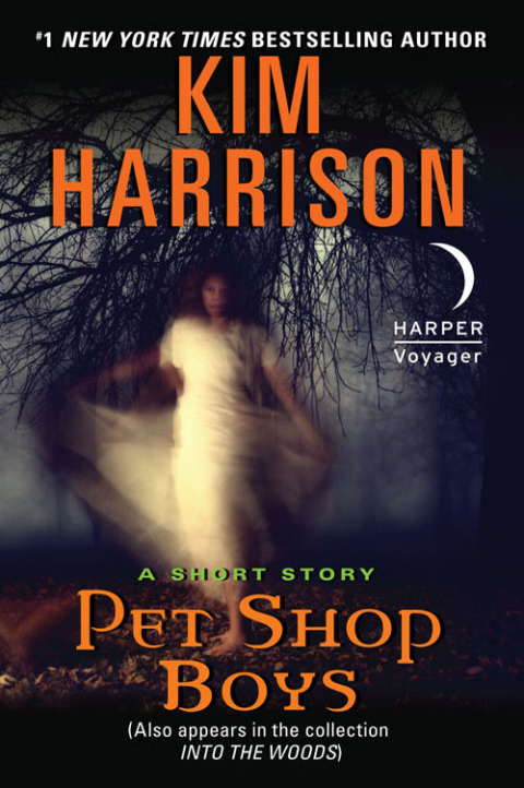 Cover image for book Pet Shop Boys