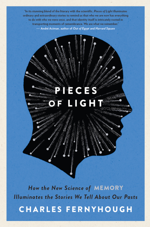 Cover image for book Pieces of Light