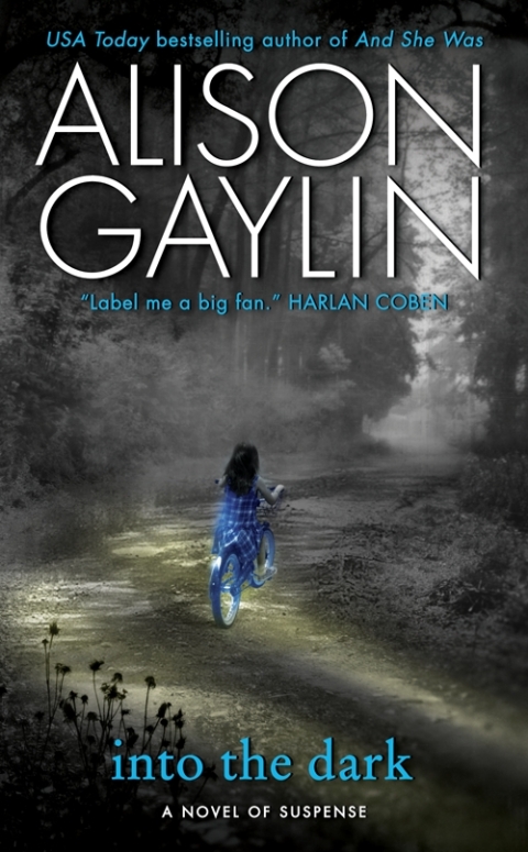 Cover image for book Into the Dark