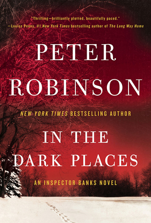 Cover image for book In the Dark Places